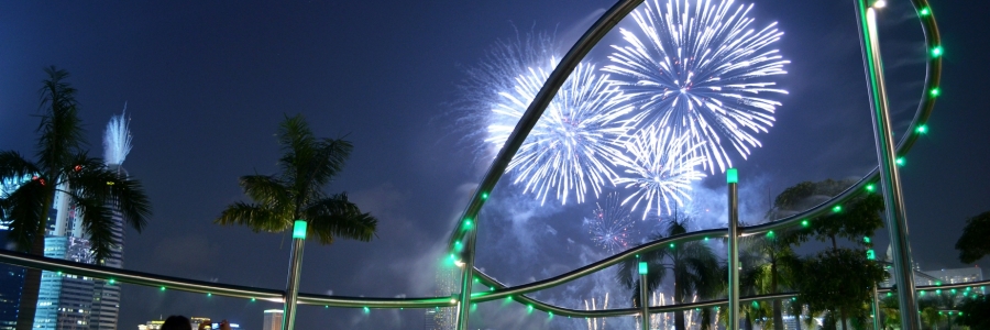 Top ten tips to keep your pets happy during the fireworks season