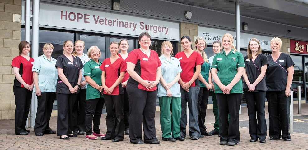 Hope Vets Team